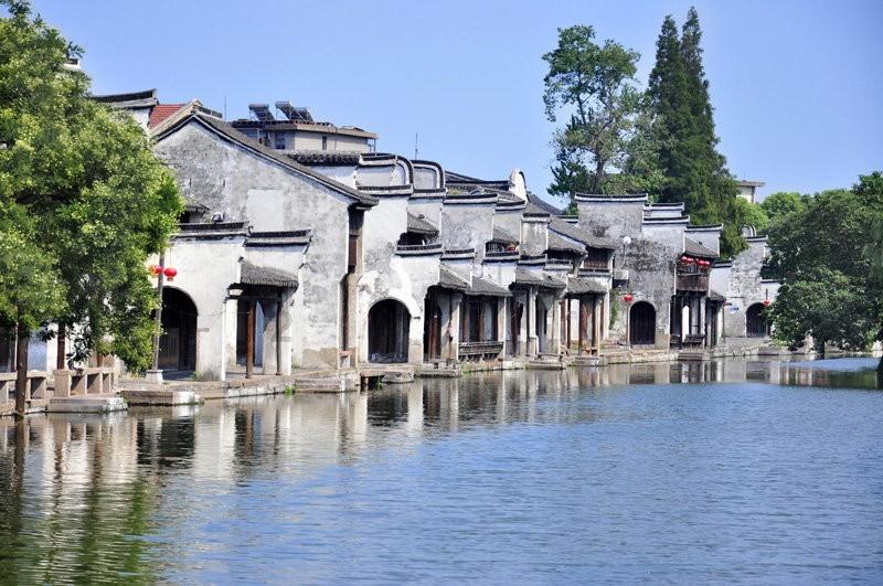 近日,浙江杭州,越冬候鸟在西湖频频捕食,像极了吃自助餐